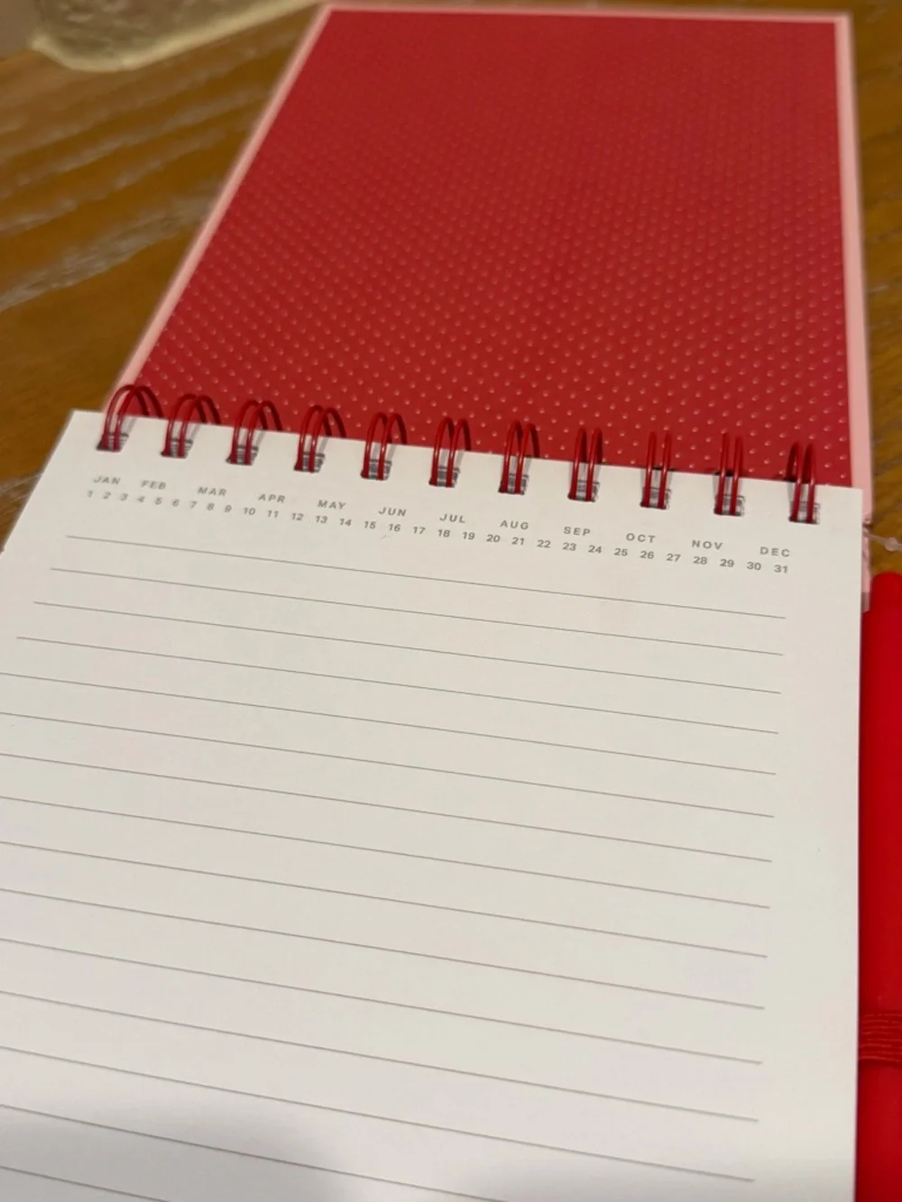 NEW Snoopy Spiral Notebooks Set